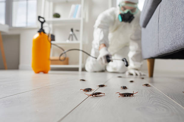 Post-Treatment Bed Bug Interceptor Monitoring in Pinetops