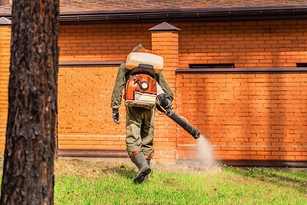 Bed Bug Clearance Verification and Documentation in Pinetops